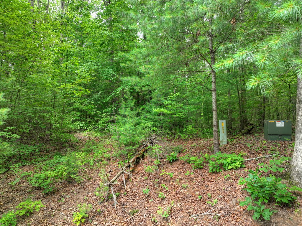 L 5,6& 7 Mountain Springs Road