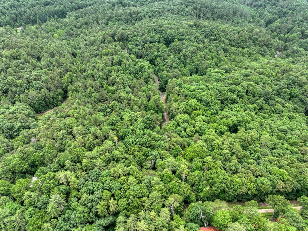 L 5,6& 7 Mountain Springs Road