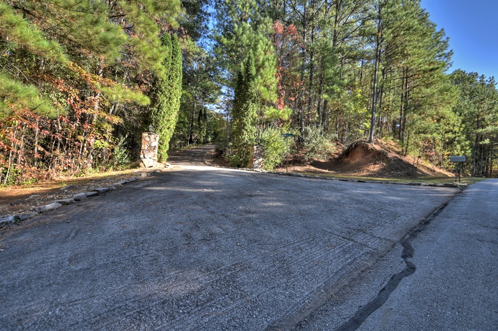 125 Pine View Lane