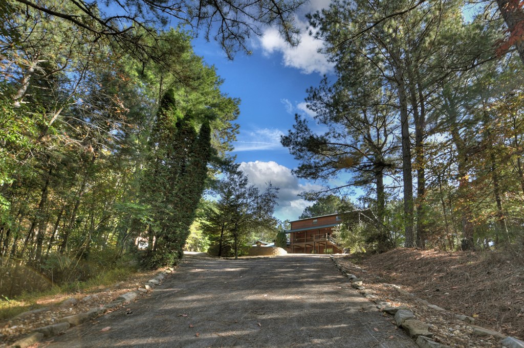 125 Pine View Lane