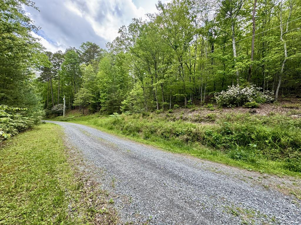 208 Bull Gap Road