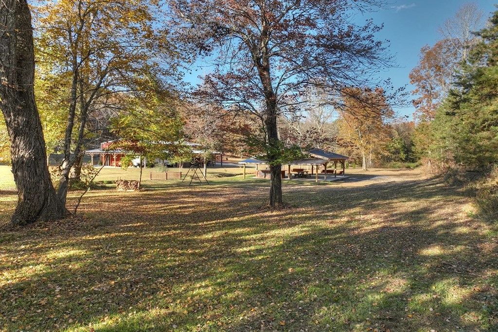 4011 Murphy Hwy