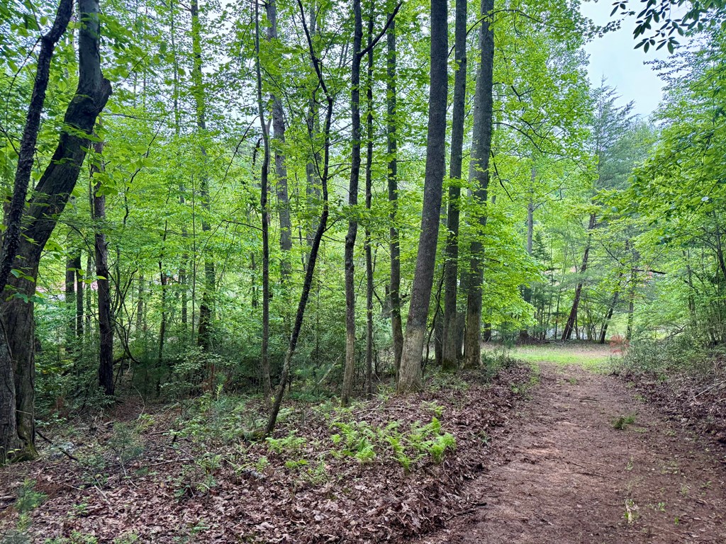 Tract C Captains Cove