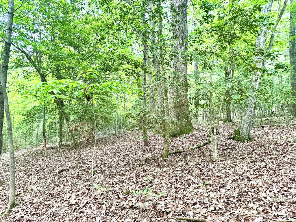 Tract C Captains Cove