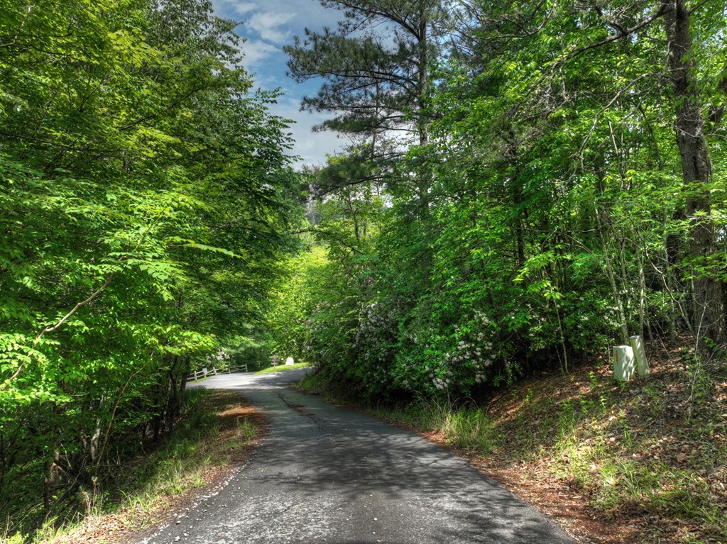 Lt 13 Ridge Road