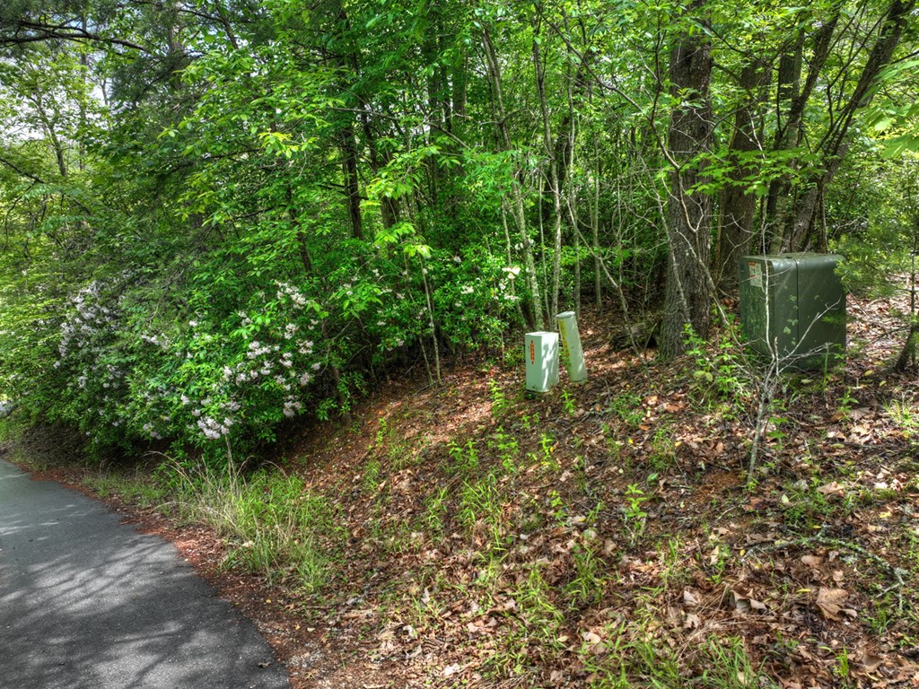 Lt 13 Ridge Road