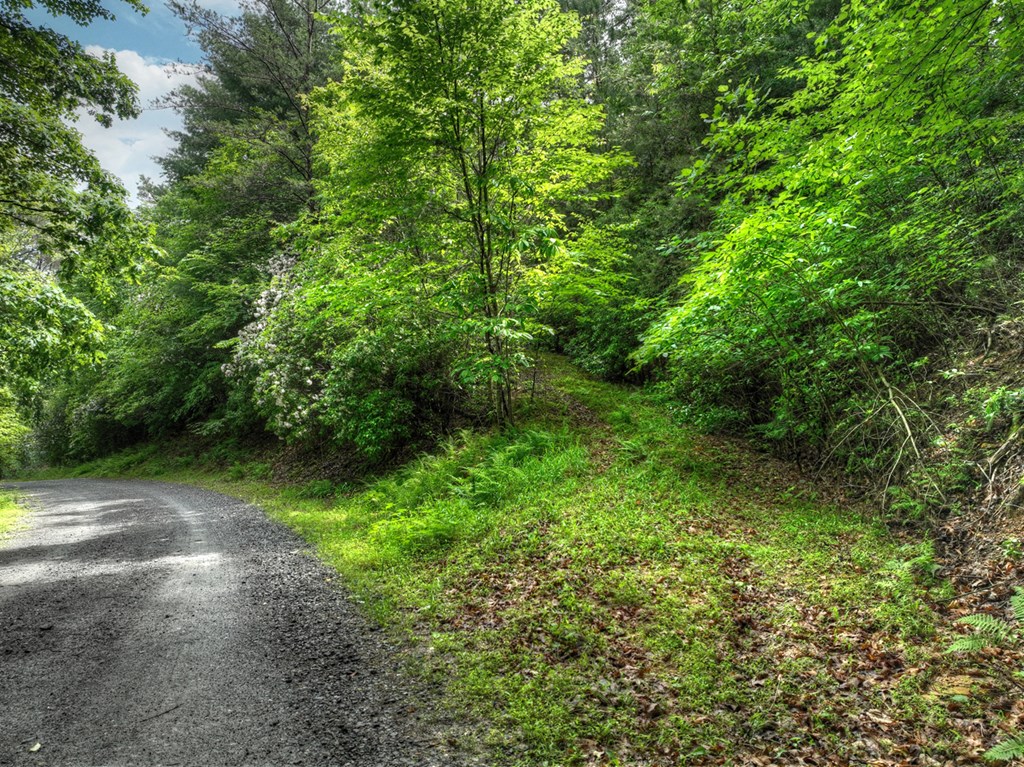 Lt 13 Ridge Road