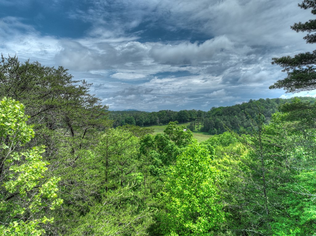 Lt 13 Ridge Road