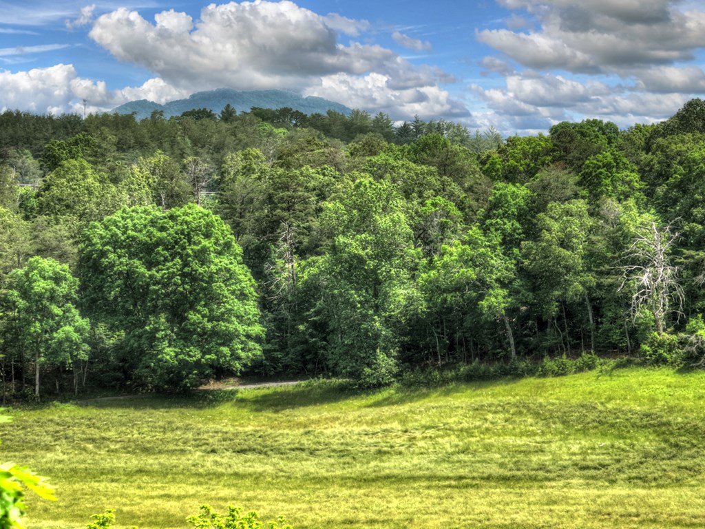 Lt 13 Ridge Road