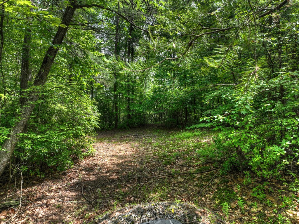 Lt 13 Ridge Road