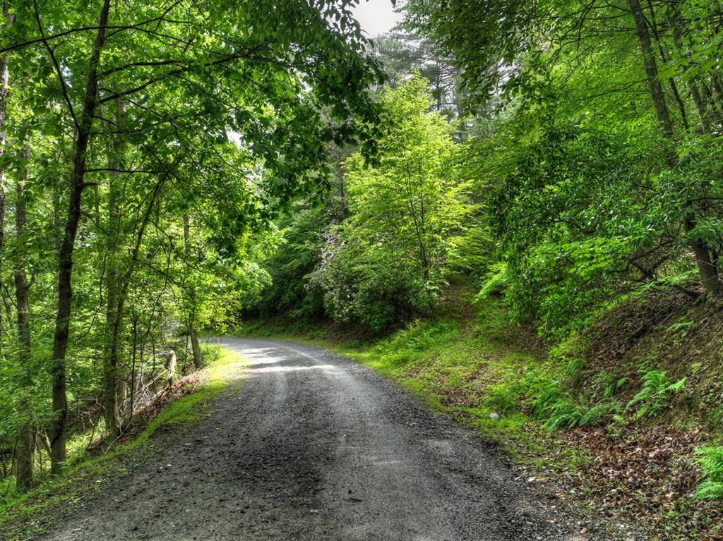 Lt 13 Ridge Road