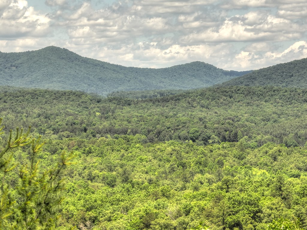 330 Serenity Ridge Lane