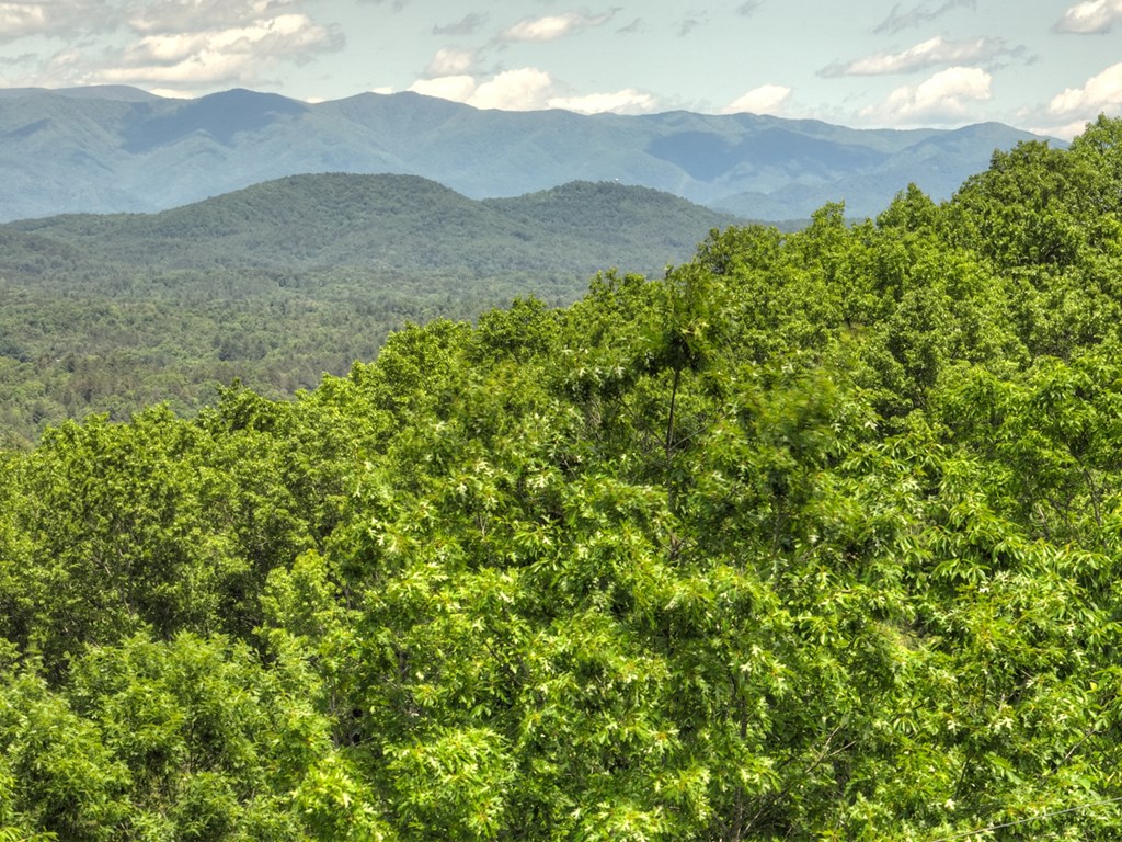 330 Serenity Ridge Lane