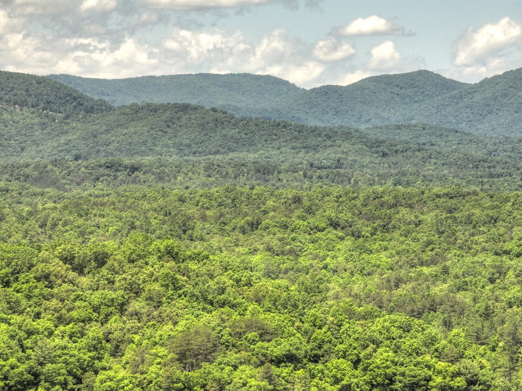 330 Serenity Ridge Lane