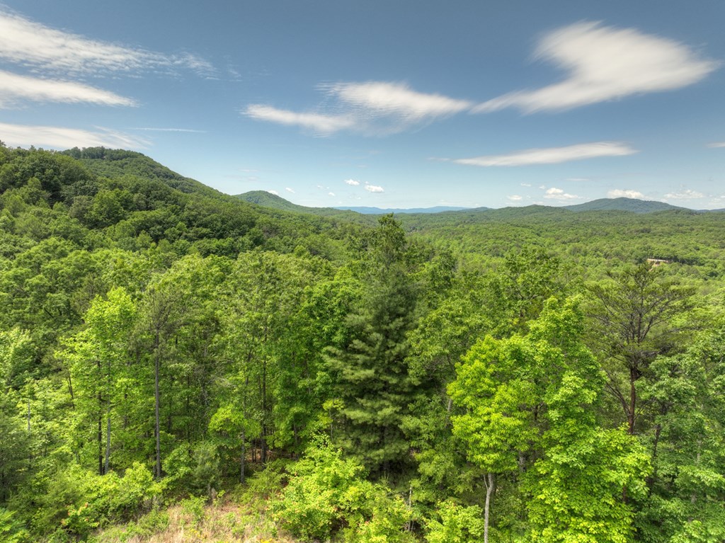 330 Serenity Ridge Lane