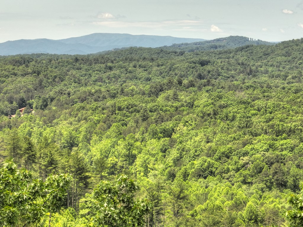 330 Serenity Ridge Lane