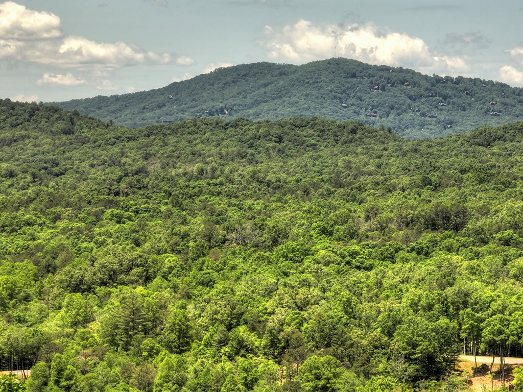 330 Serenity Ridge Lane