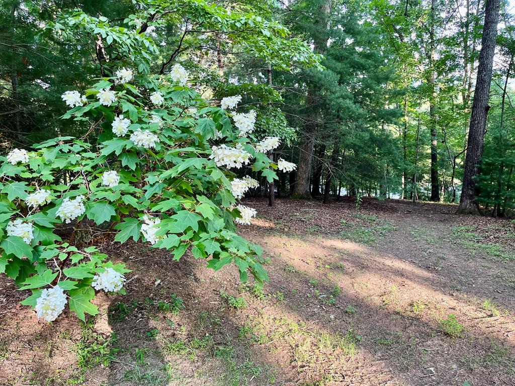 174 Oak Lane