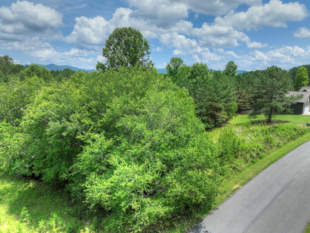 LOT 140 Fox Lake