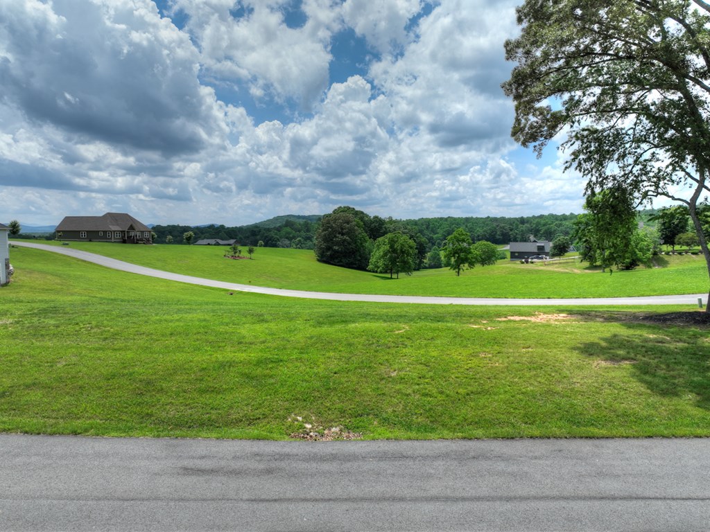 LOT 140 Fox Lake