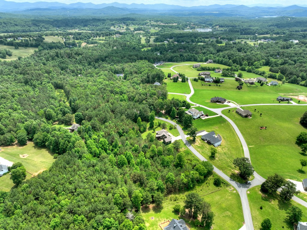 LOT 140 Fox Lake
