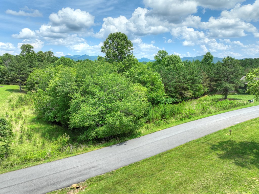 LOT 140 Fox Lake