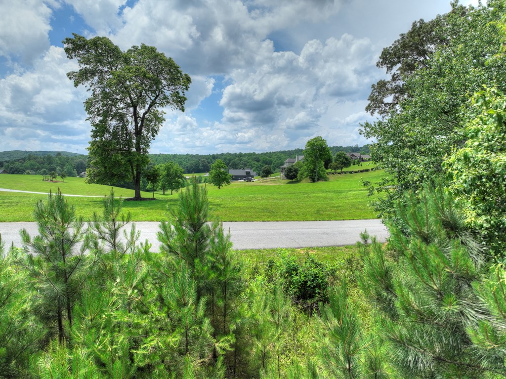 LOT 140 Fox Lake