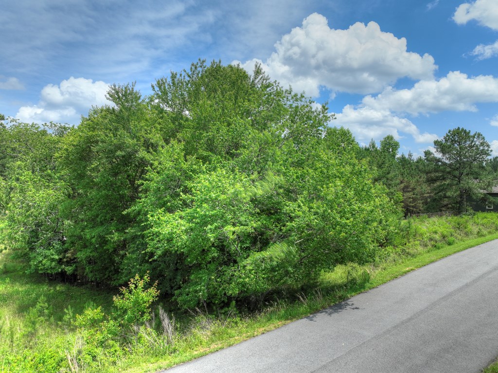 LOT 140 Fox Lake