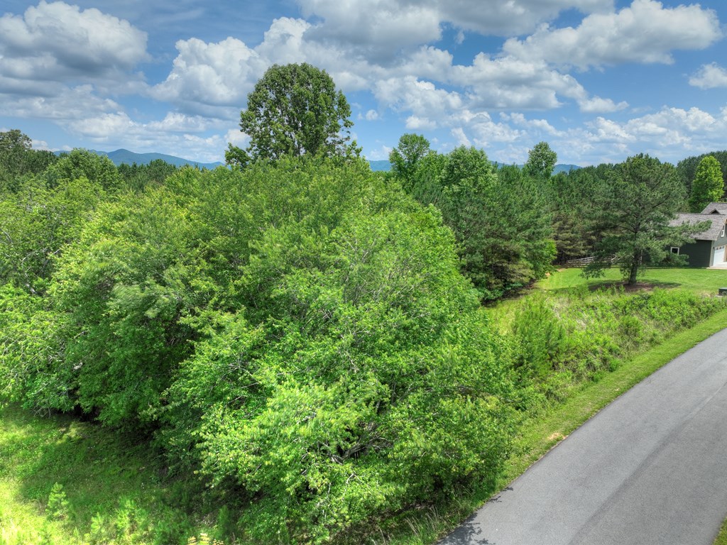 LOT 140 Fox Lake