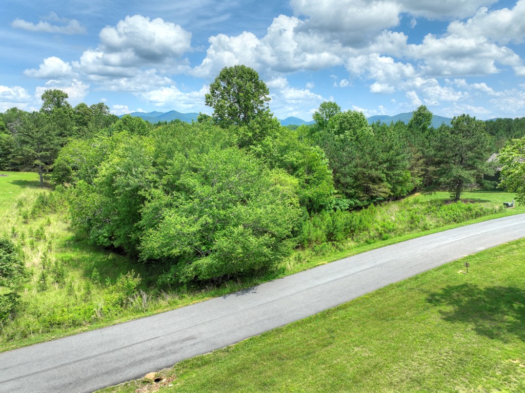 LOT 140 Fox Lake