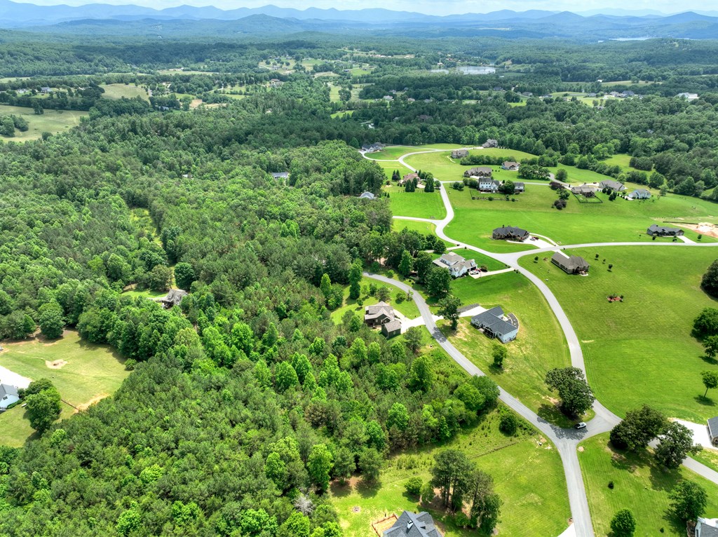 LOT 140 Fox Lake