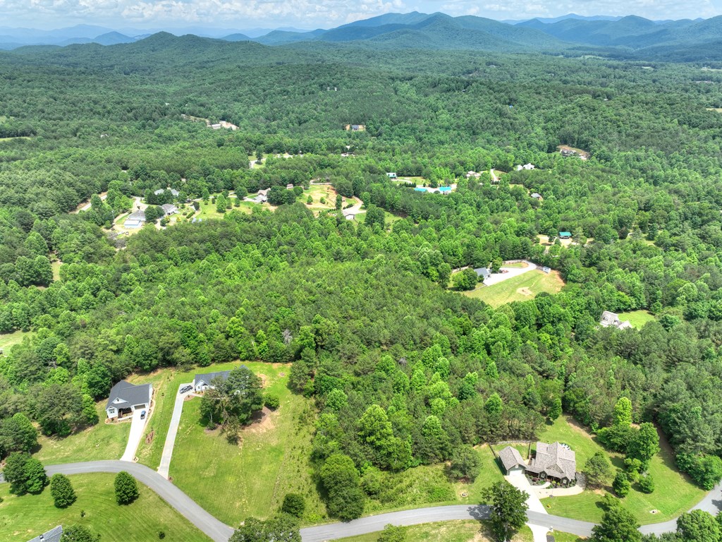 LOT 140 Fox Lake