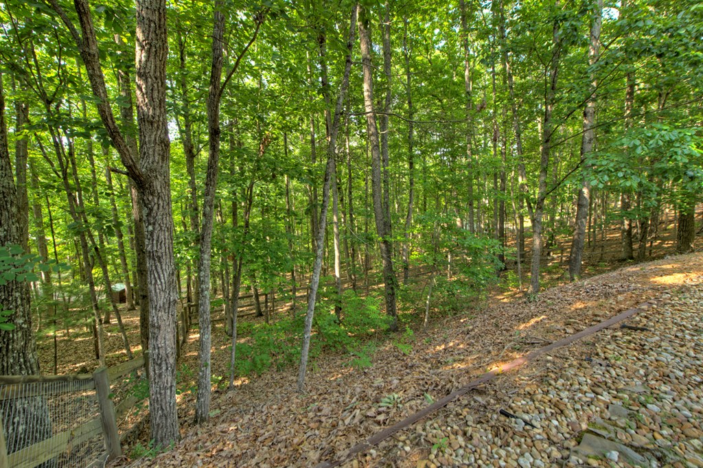 191 Deer Run Road