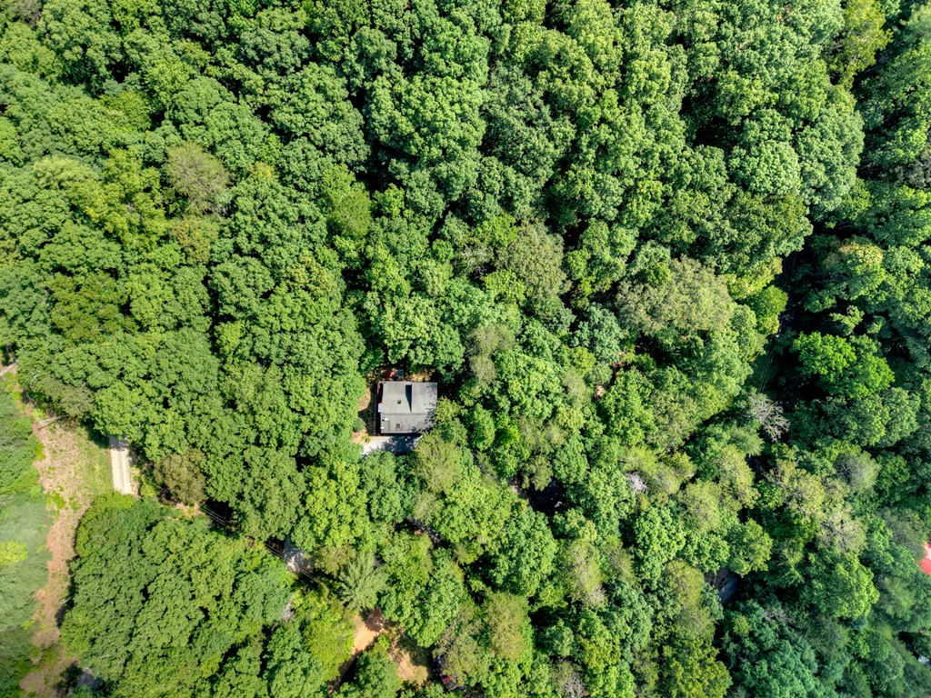 409 Hothouse Lane