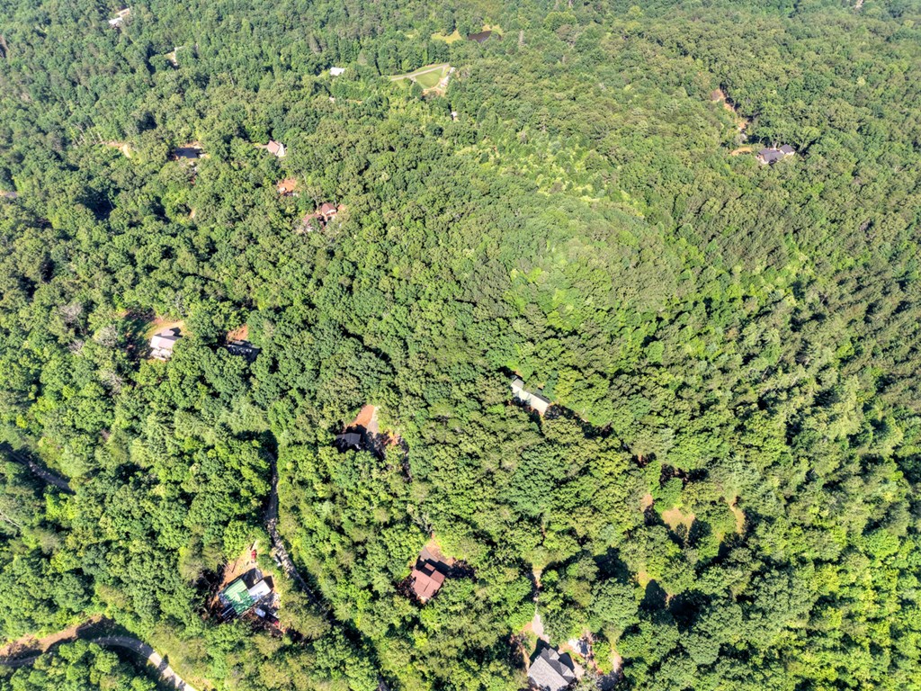 45 Wolf Creek Mountain Road