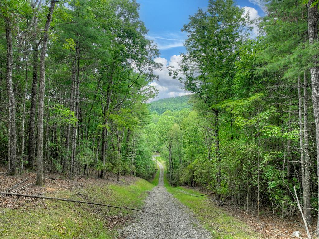 1696 Rocky Top Road