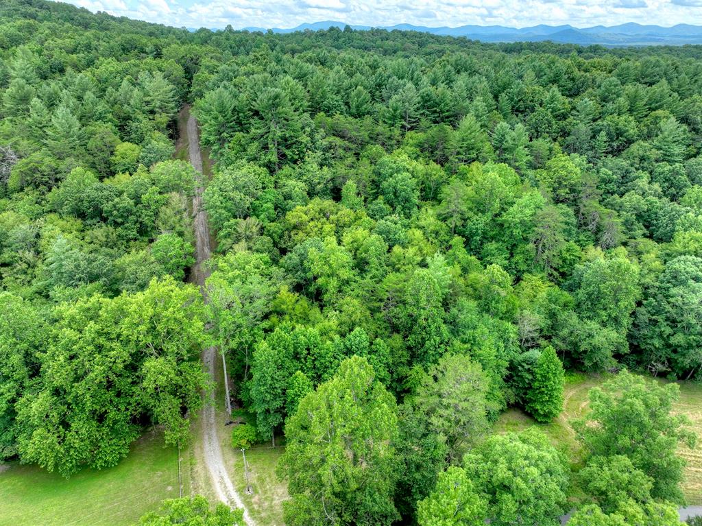 1696 Rocky Top Road