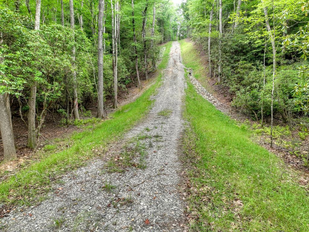 1696 Rocky Top Road