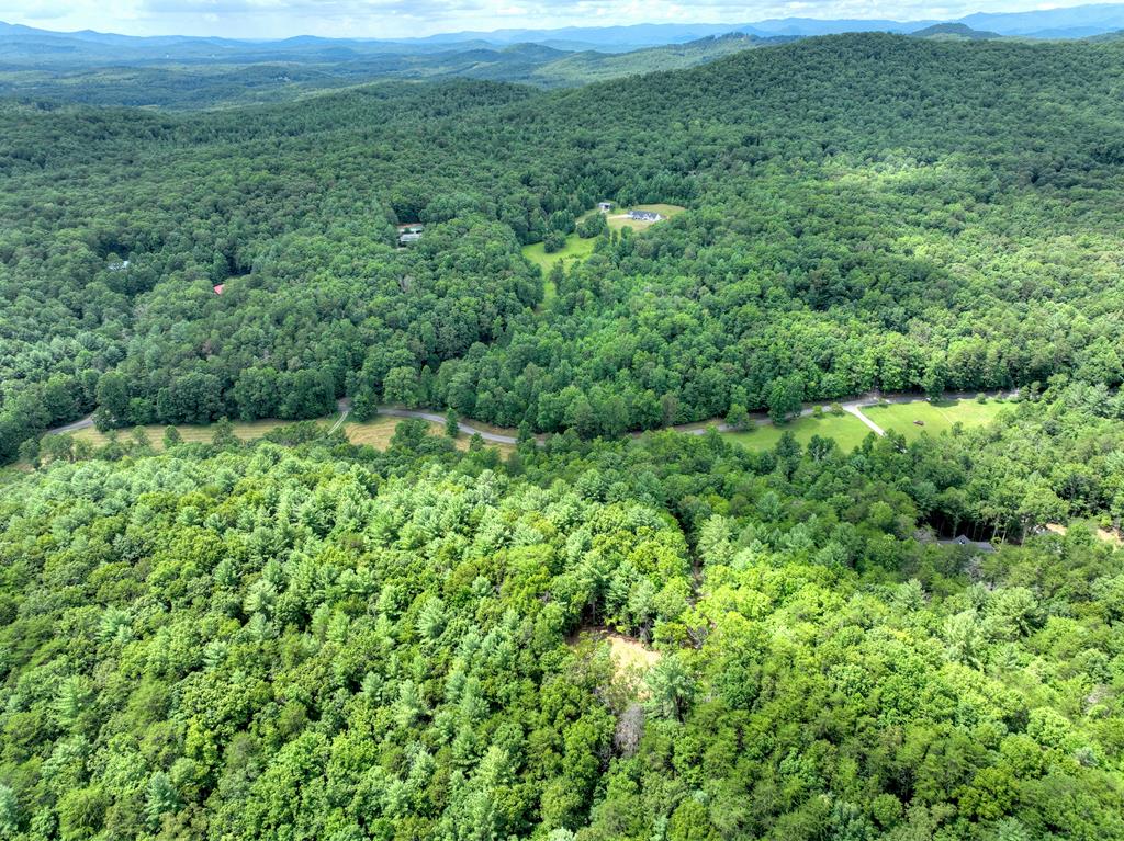 1696 Rocky Top Road