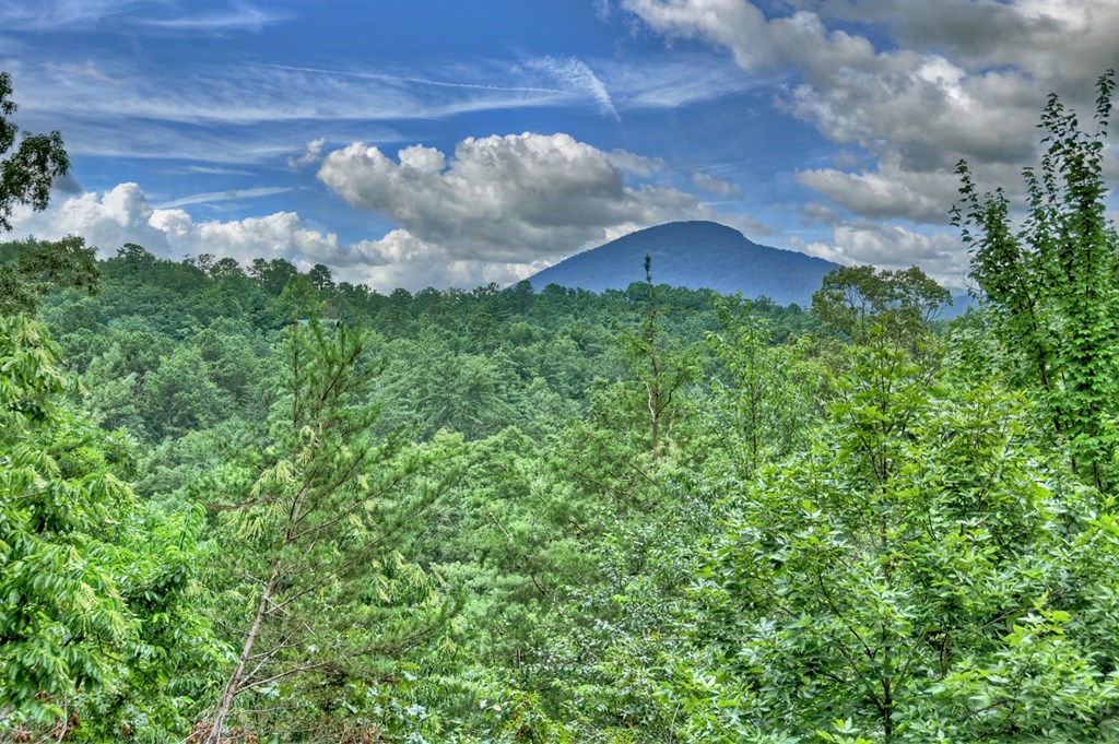 852 Miners Mountain Road
