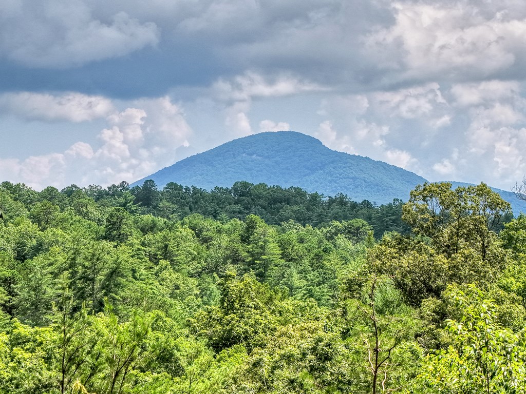 852 Miners Mountain Road