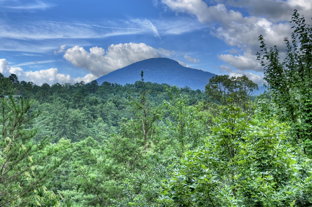 852 Miners Mountain Road