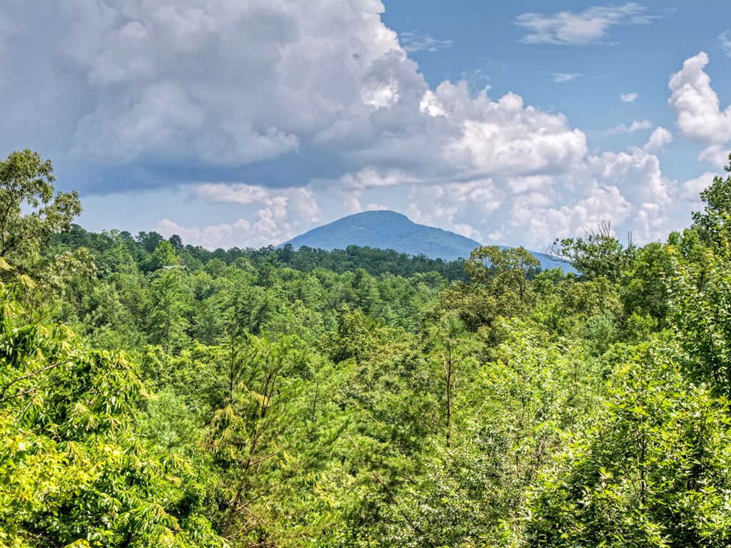 852 Miners Mountain Road