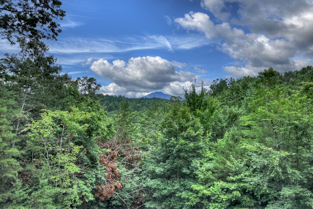 852 Miners Mountain Road