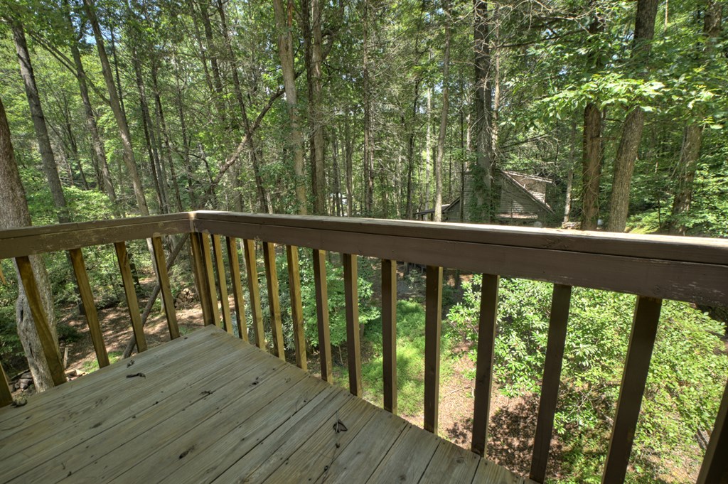 100 Stanley Creek Xing
