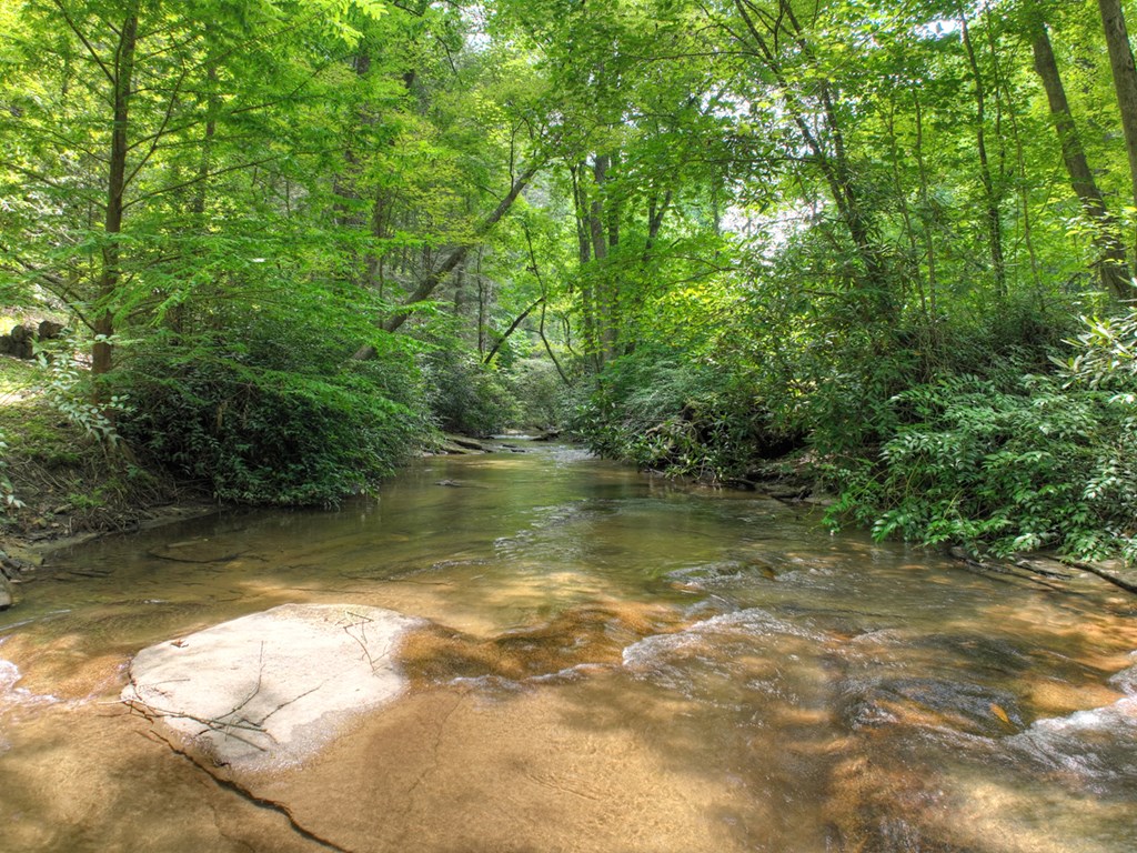 100 Stanley Creek Xing