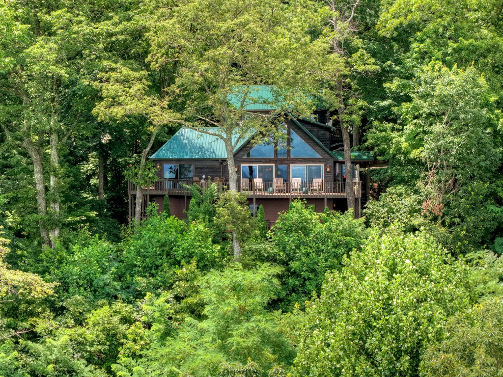 65 Wild Turkey Dr