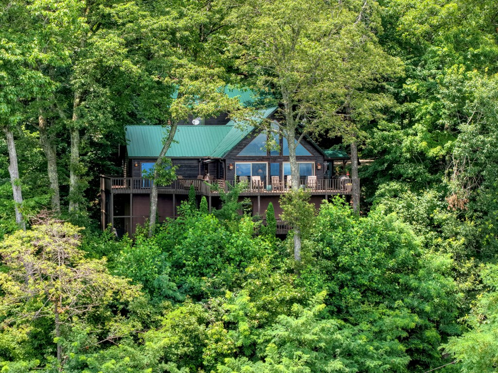 65 Wild Turkey Dr