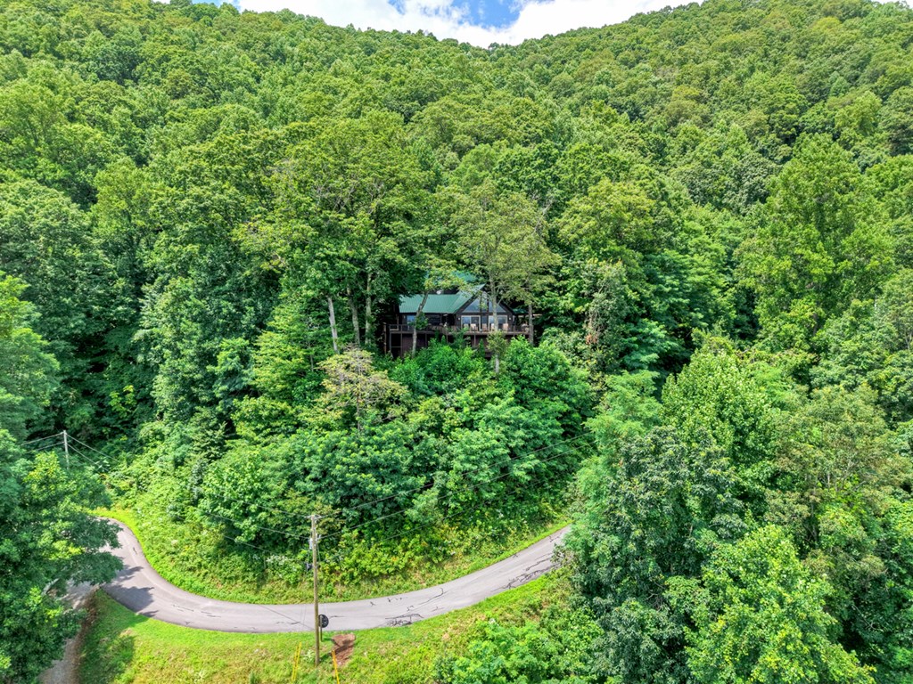 65 Wild Turkey Dr
