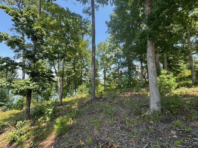 Lot 5 Hunter Lane